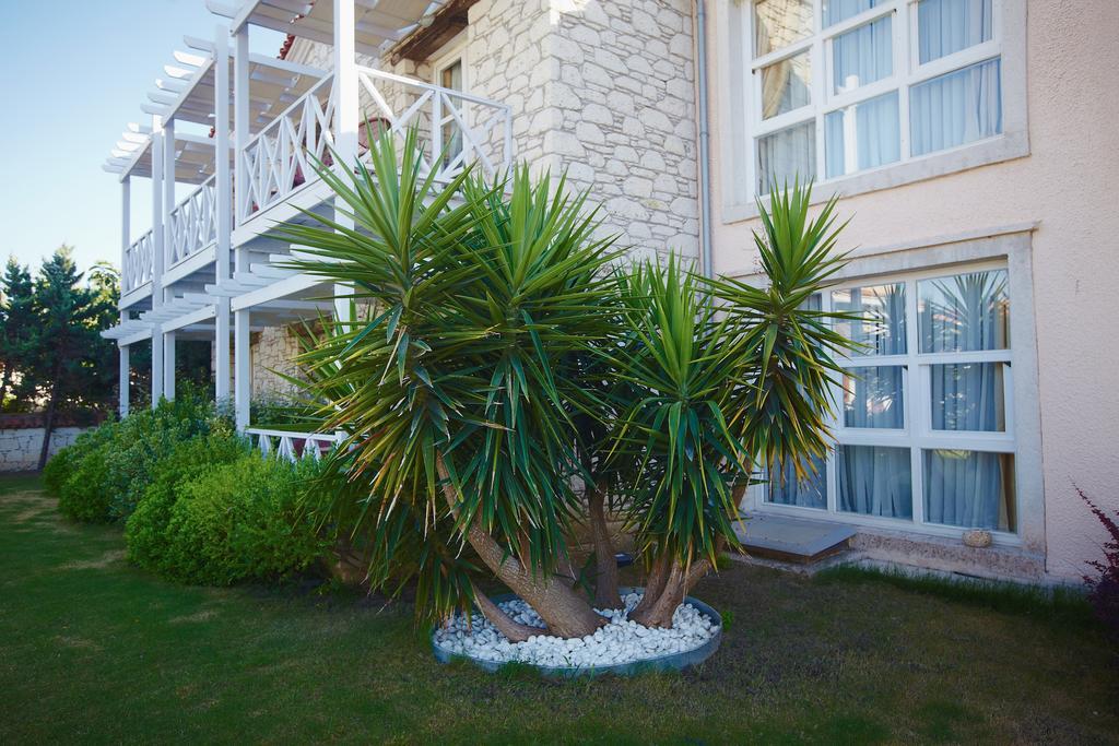 Casa Oliva Alacati - Adults Only 14 Plus ภายนอก รูปภาพ